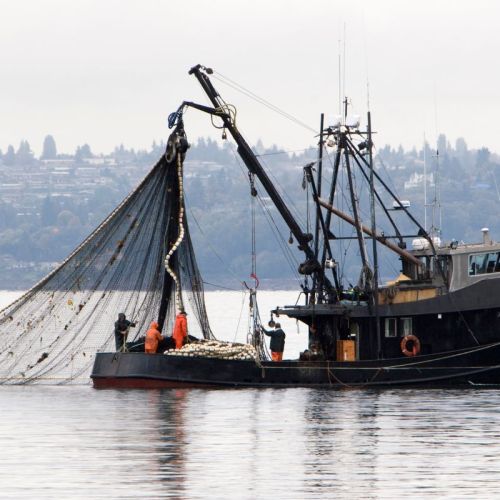 fishing accident accident in commercial fishing